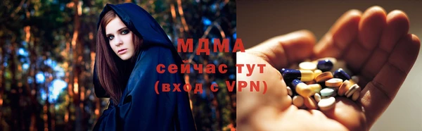СК Алексин