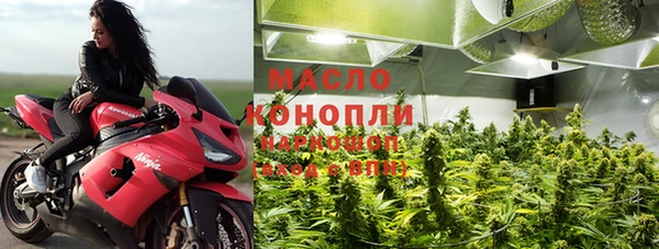 СК Алексин