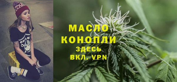 СК Алексин