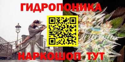прущие грибы Бугуруслан