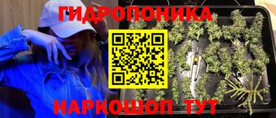 прущие грибы Бугуруслан