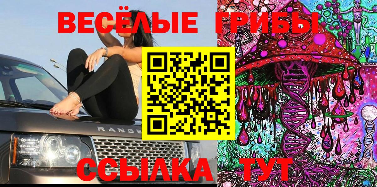 Зерноград  Мефедрон кристаллы  Гашиш  Канабис  Наркошоп  КОКАИН  Вход с VPN  Гашиш 